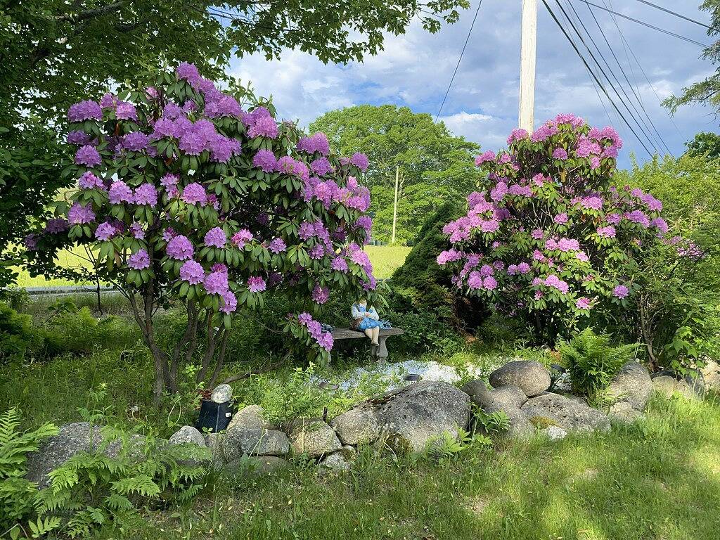 Ganze Wohnung, Lamoine Rückzug! In der Nähe von Lamoine Beach, Acadia Nat Park, Shopping, Ellsworth in Ellsworth, Hancock County