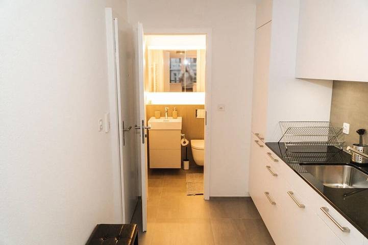 Apartamento entero, Modern apartment in Basel with free Baselcard in Basilea, Region Basel RDK