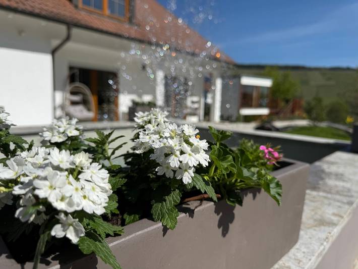 Ganze Wohnung, Ferienwohnungen Auszeit Taubertal - Exklusiv kompakt: Smart-Apartment mit Outdoor-Flair in Bad Mergentheim, Hohenlohe