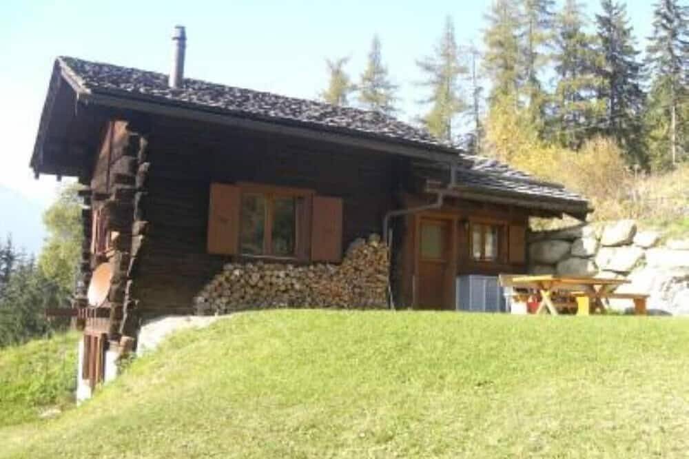Chalet / Hütte - Zinal in Ayer (Anniviers), Anniviers