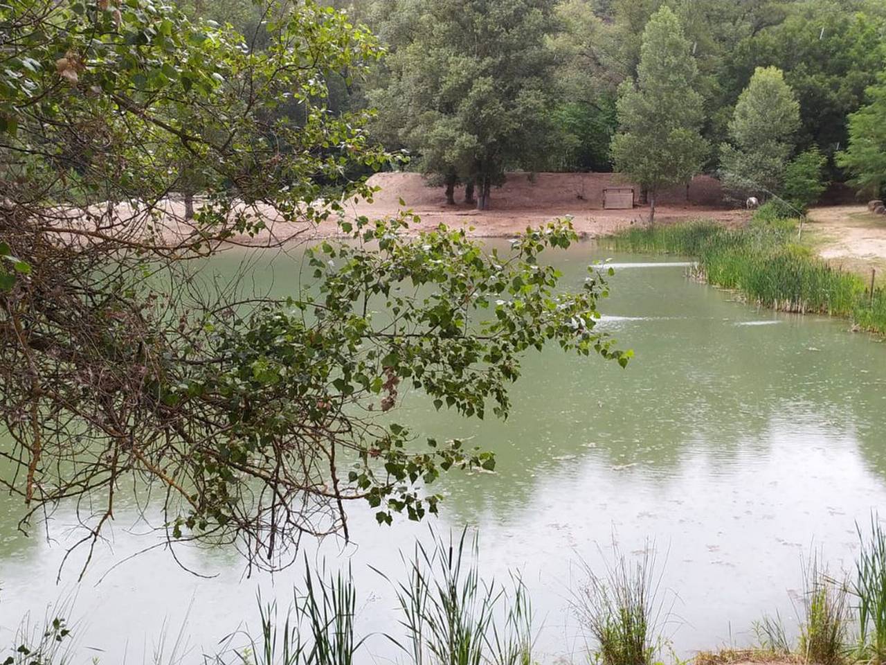 34m² Cabin with Raised Terrace, 2 Bedrooms, Equipped Kitchen in Saint-Maime, Parc naturel régional du Luberon