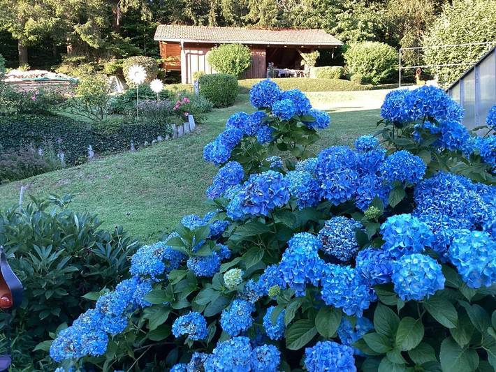 Ferienwohnung für 4 Personen, mit Garten und Ausblick in Waldkirchen - 4