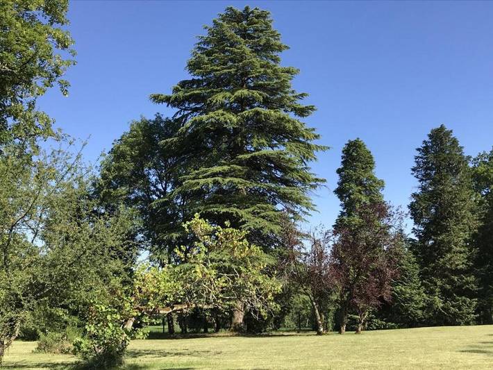 Location de vacances pour 8 personnes, avec piscine ainsi que terrasse et jardin, animaux acceptés à Savignac-les-Églises - 2