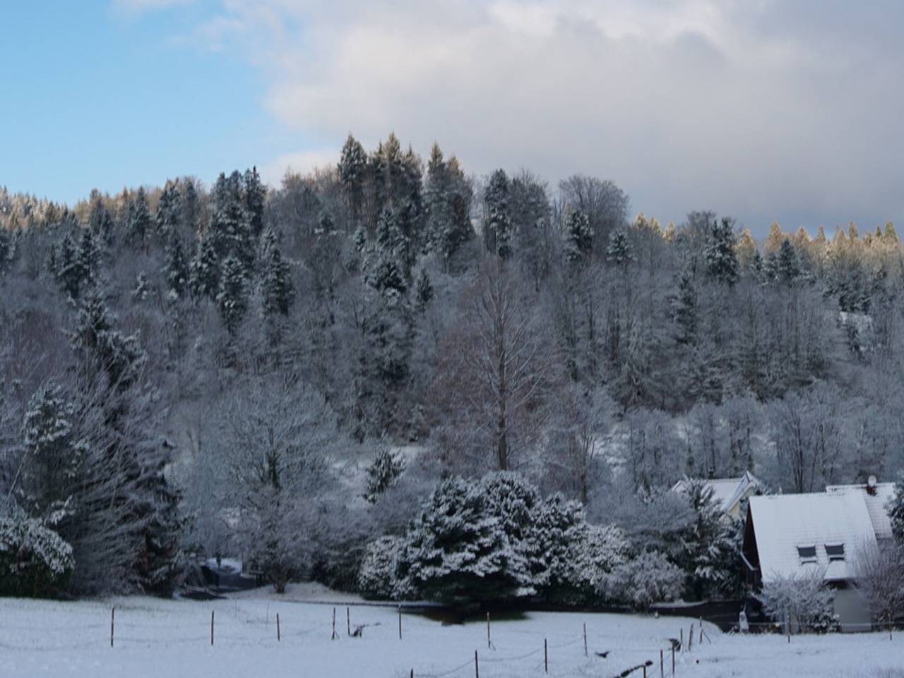Ganze Ferienwohnung, Ferienhaus am Gunzenbach - Ferienhaus in Baden-Baden, Nordschwarzwald