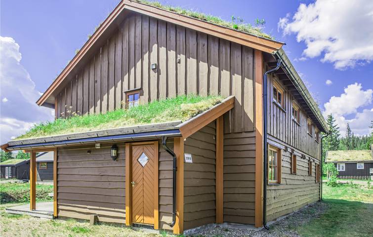 Location de vacances pour 10 personnes, avec sauna et terrasse, adapté aux familles dans Trysil - 2