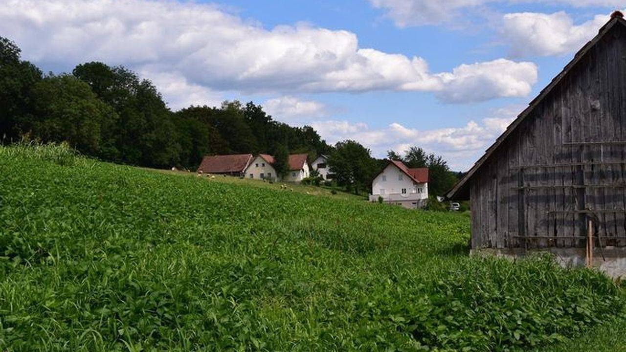 Ferienhaus für 5 Personen (60 m²) in Gnas in Südoststeiermark, Gnas