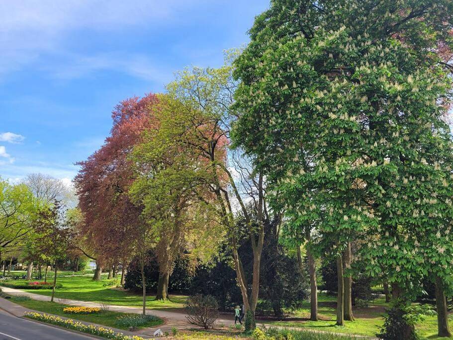 Ganze Wohnung, Mit Blick in den Emsseepark in Warendorf, Kreis Warendorf