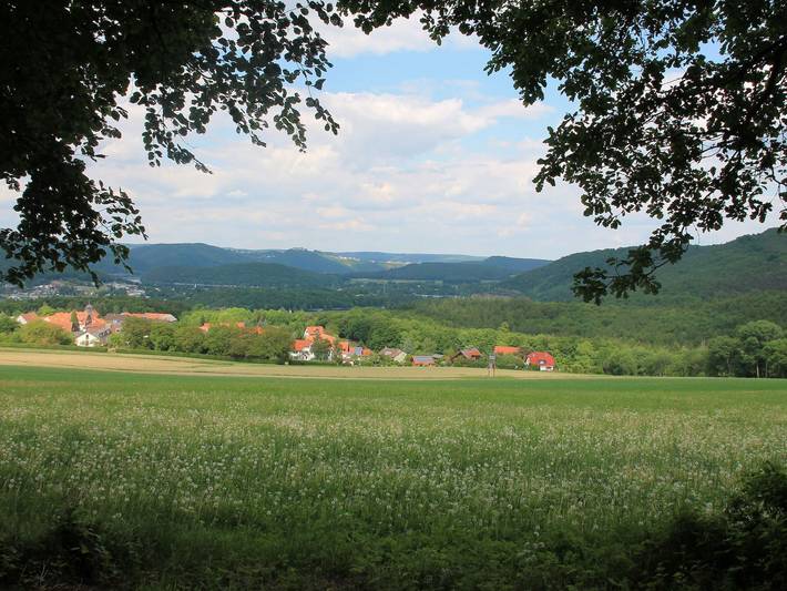 Ferienwohnung für 2 Personen, mit Terrasse, mit Haustier am Edersee - 4