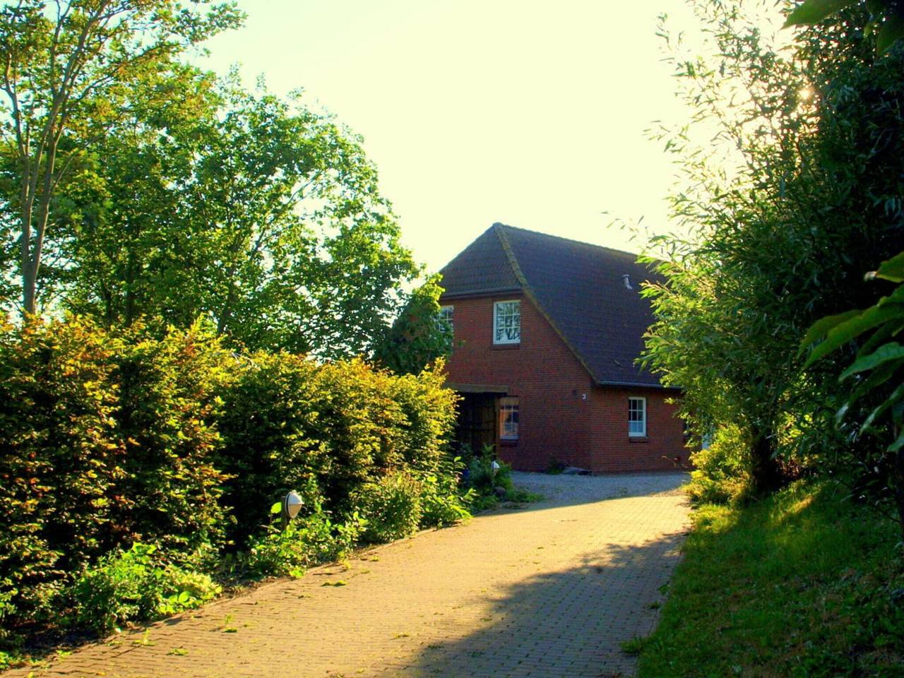 Land und Meer: Land/Eg in Westerhever, Eiderstedt