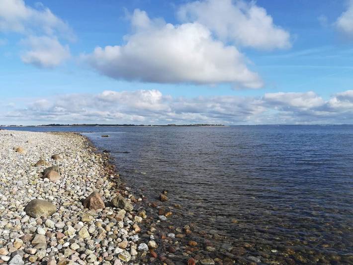 Ferienhaus für 4 Personen, mit Garten und Terrasse, mit Haustier in Flovt Strand - 4