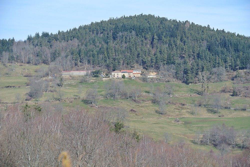 Gîte de la Roche in Bourg-Argental, Parc Naturel Régional du Pilat