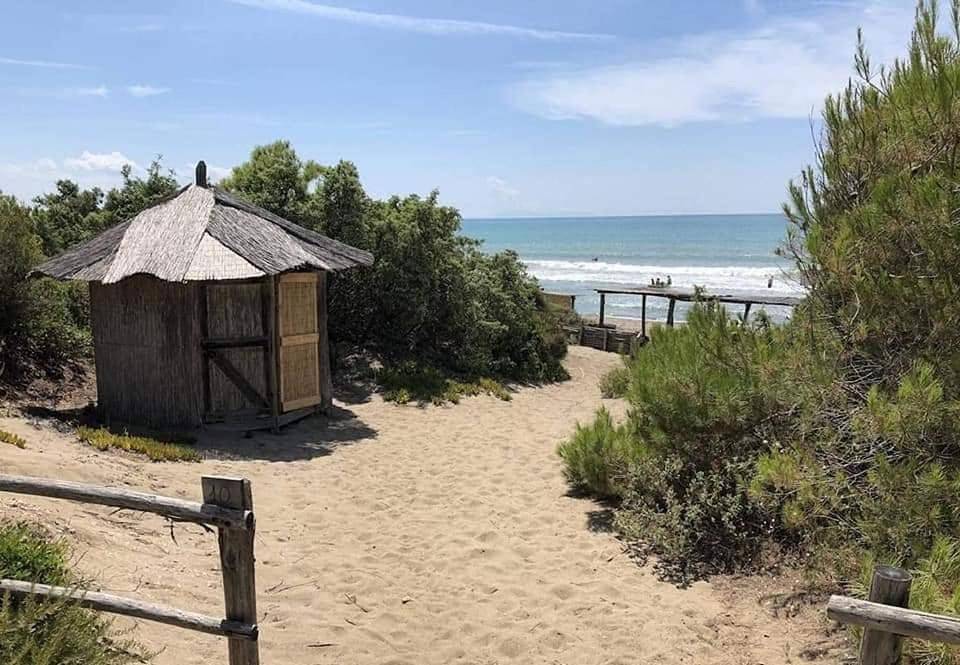 Villa in Pineta in Roccamare, Castiglione della Pescaia
