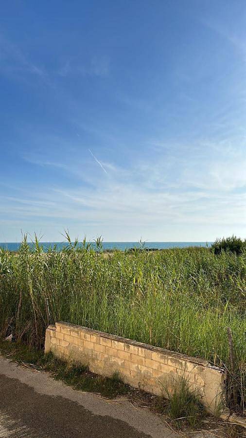 Gîte pour 6 personnes, avec vue et jardin, animaux acceptés à Sampieri - 2