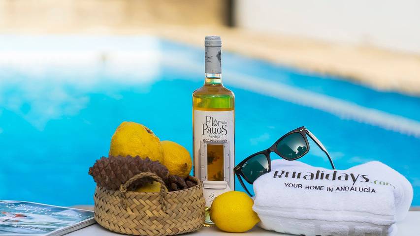 Chalet para 12 personas, con piscina además de jacuzzi y balcón/terraza, Se admiten mascotas en La Janda - 2