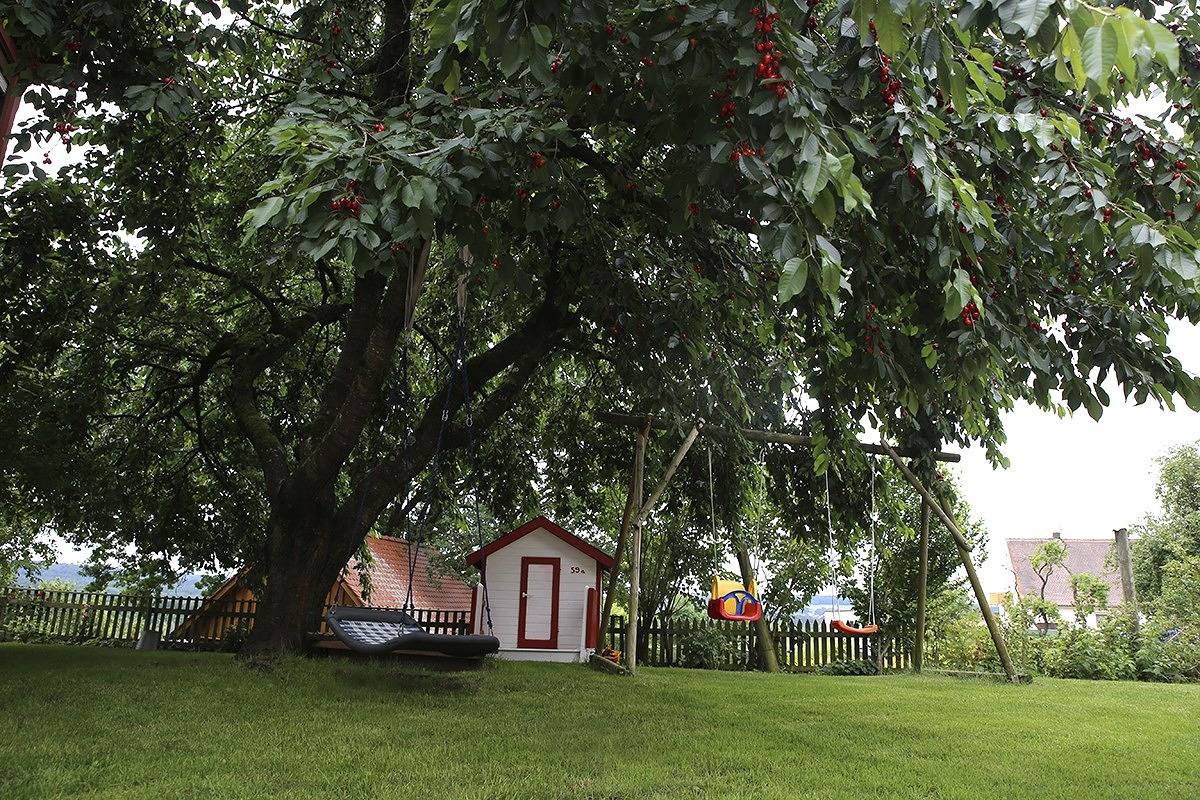 Ganze Wohnung, Ferienwohnung Bickel - Wohnung I mit Terrasse in Absberg, Fränkisches Seenland
