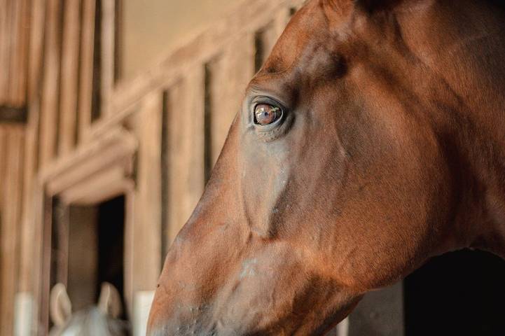 Villa für 8 Personen