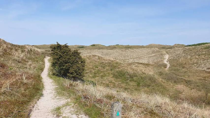 Ferienhaus mit Meerblick für 5 Personen, mit Terrasse in Dänemark an der Nordsee - 4