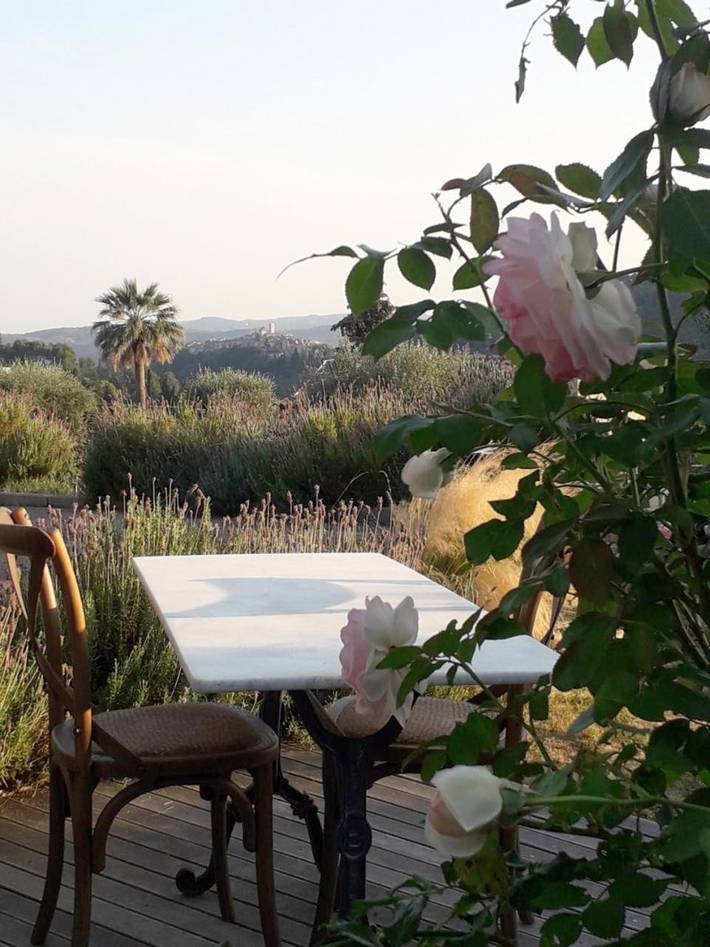 Chambre d’hôte pour 2 personnes, avec jardin ainsi que piscine et vue à Vence - 3