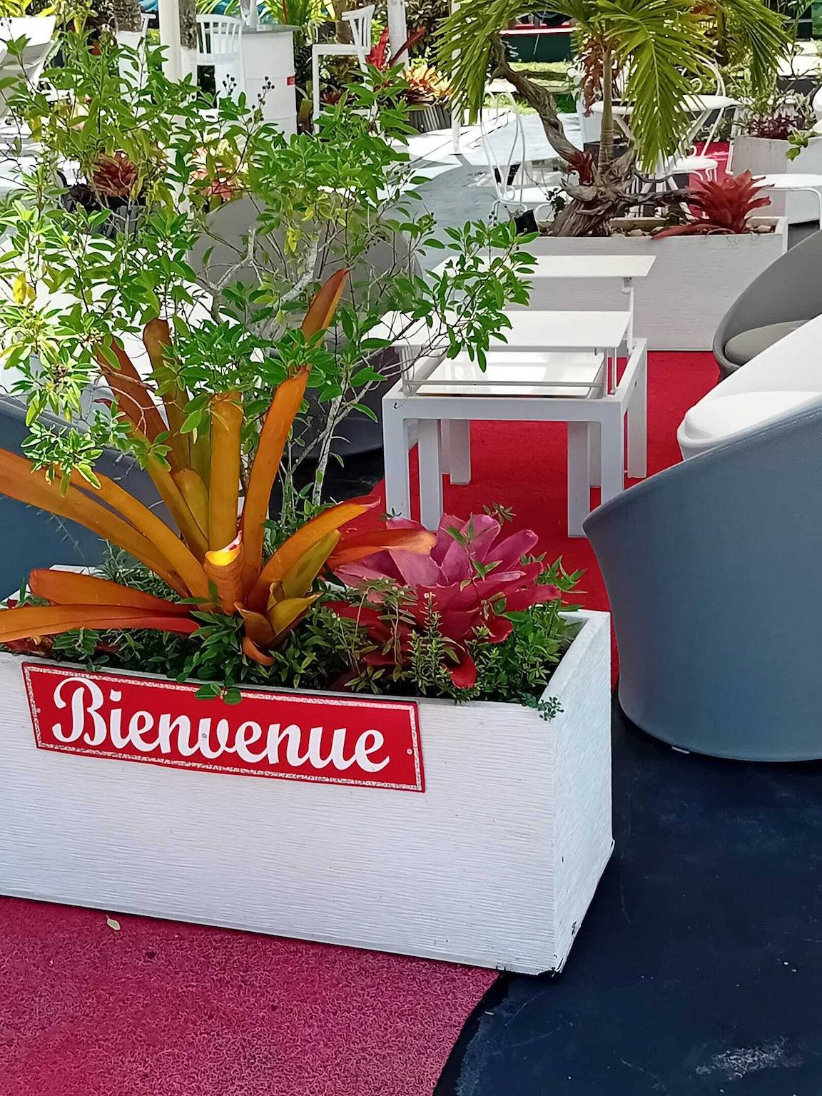 Bungalow charmant à Sainte-Rose avec terrasse et piscine in Sainte-Rose, Guadeloupe