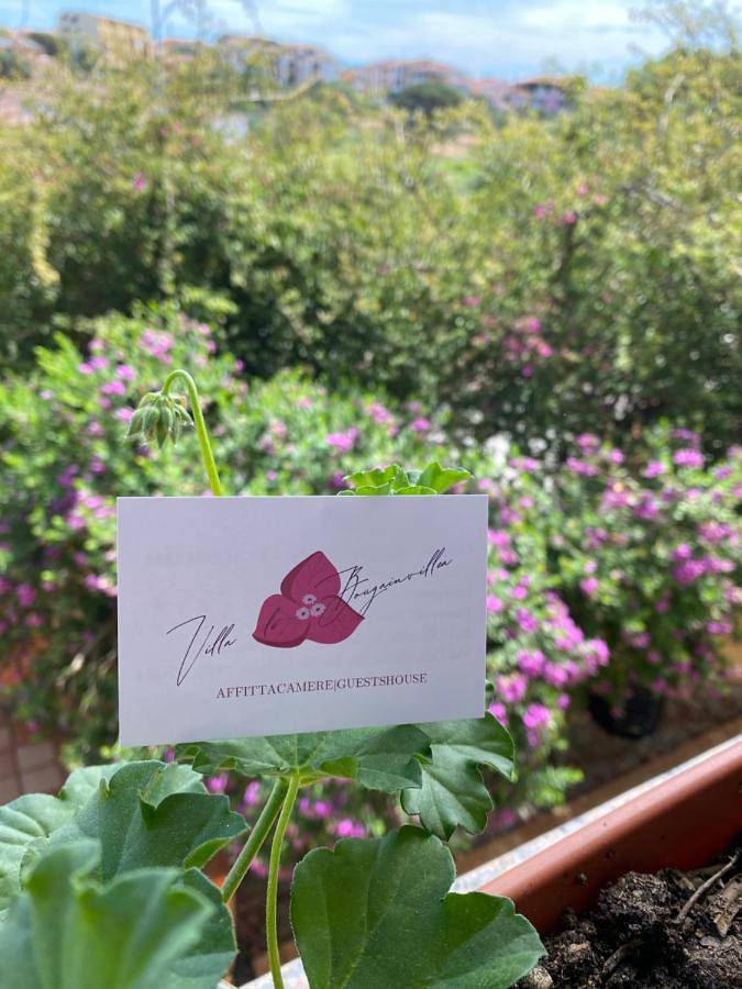 Villa le Bougainvillea in Parco Nazionale dell'Arcipelago di La Maddalena, La Maddalena