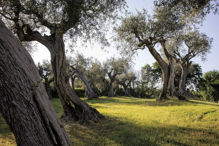 Casa de vacaciones para 9 personas, con terraza y jardín, Familias con niños - 1