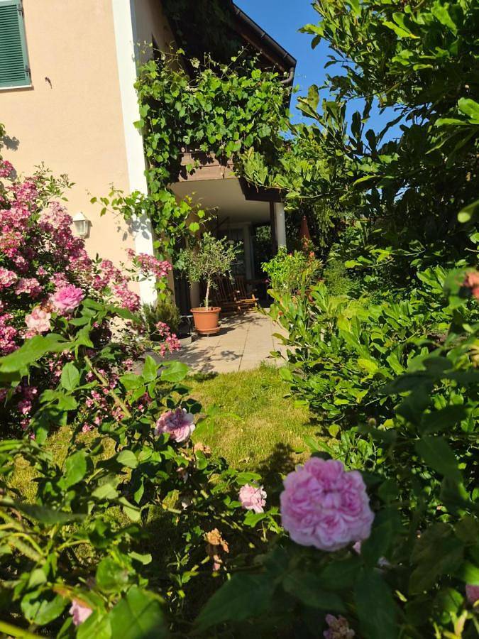 Ganze Wohnung, See & Natur Apartment Uffing in Uffing, Das Blaue Land