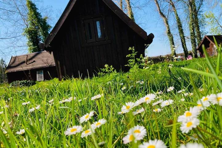 Gîte pour 2 personnes, avec piscine et jardin, animaux acceptés à Bar-sur-Aube - 2
