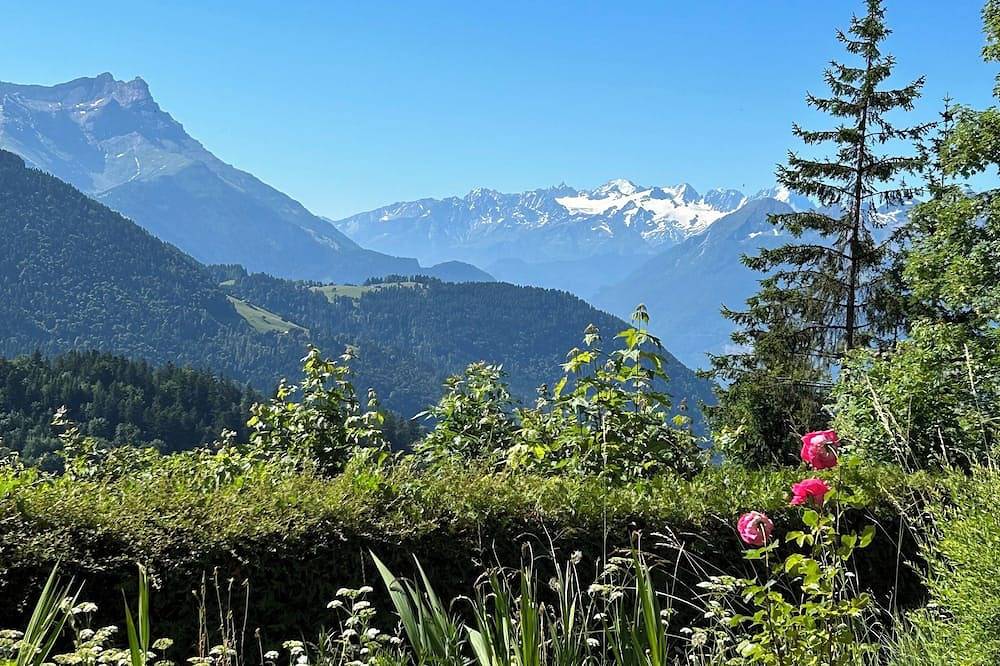 Appartement entier, Apartment with terrace and garden for skiers and hikers. Pet friendly! in Leysin, Alpes Vaudoises