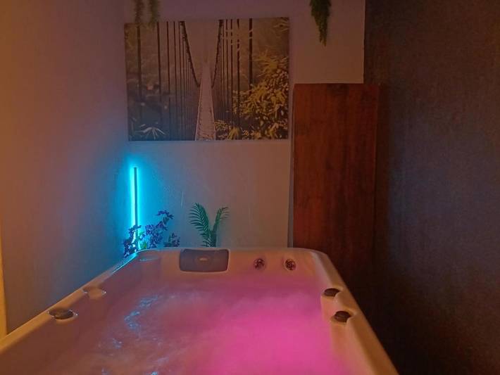 Hôtel pour 2 personnes, avec balcon et jacuzzi à Saint-Mitre-les-Remparts - 3