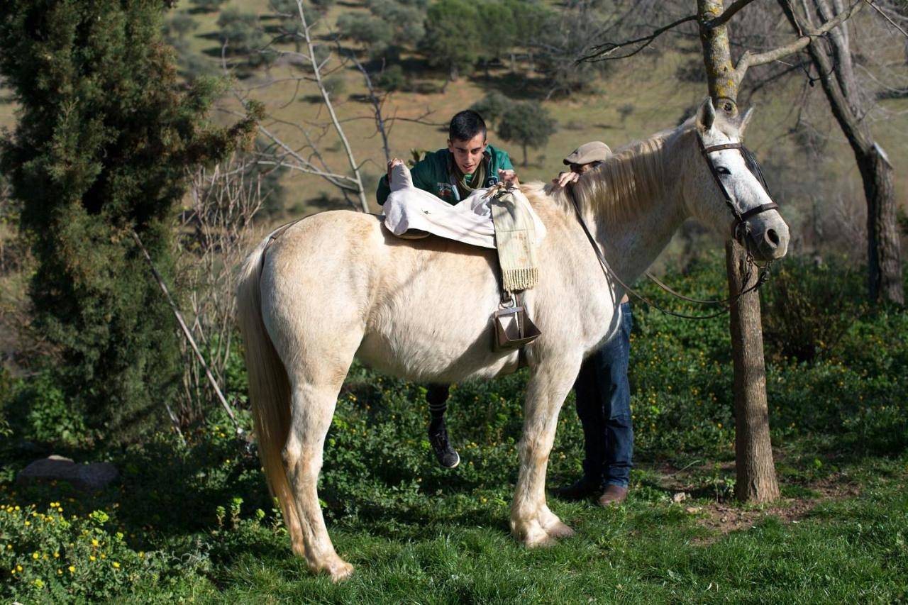 Cortijo El Berrocal in Cazalla de la Sierra, Sierra Morena