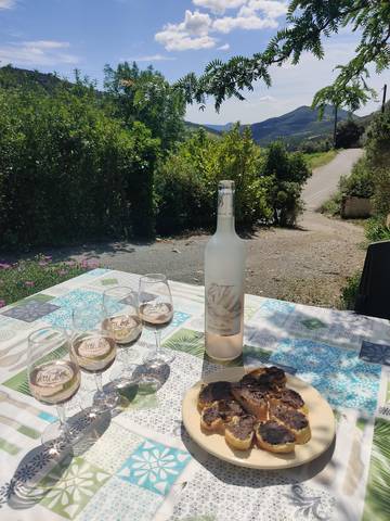 Gîte pour 6 Personnes dans Roquebrun, Parc naturel régional du Haut-Languedoc, Photo 4
