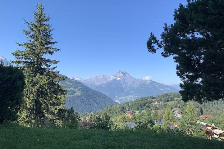 Chalet for 14 people, with terrace and garden - 1