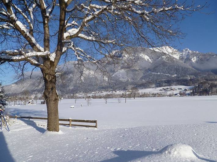 Ganze Ferienwohnung, Gästehaus Kloibergütl - Ferienwohnung 2 Studio in Sankt Gilgen, Bezirk Salzburg-Umgebung