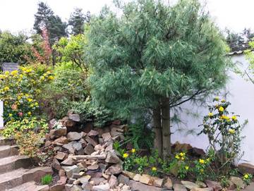 Ferienhaus für 3 Personen in Senftenberg, Lausitz, Bild 4