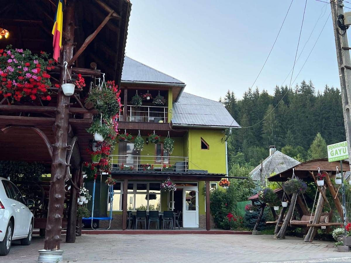 Pensiunea Gaiu in Albac