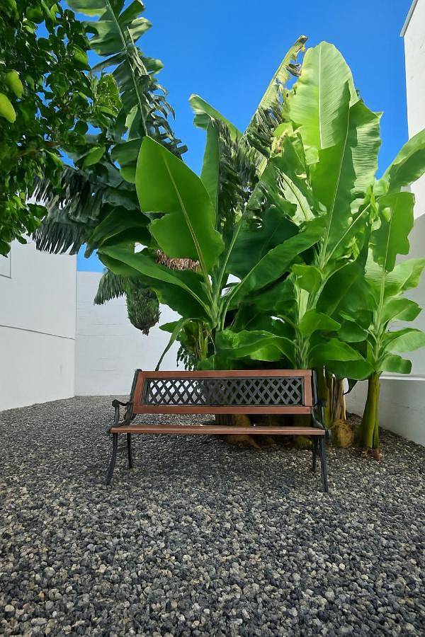 Location de vacances pour 5 personnes, avec vue et jardin dans Guimar - 3