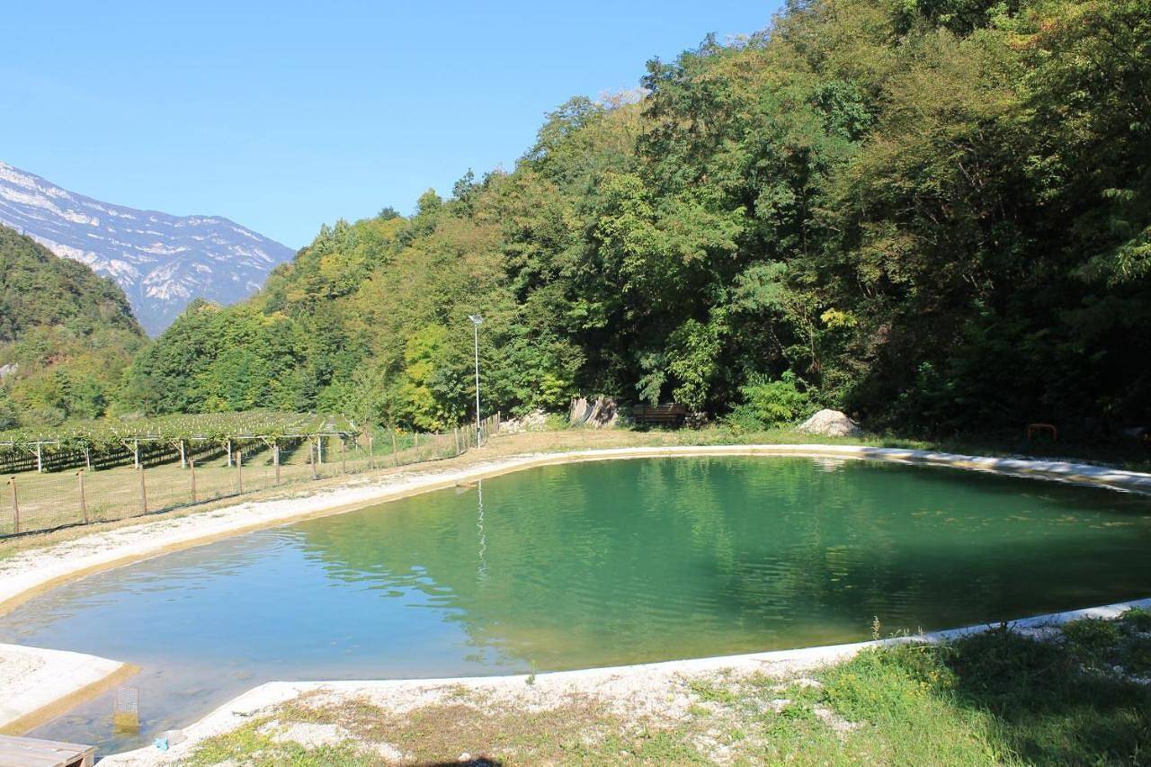 Ganze Wohnung, Ferienwohnung 'Con La Testa Fra Le Nuvole' mit Bergblick, Gemeinschaftsterrasse und Wi-Fi in Ala, Trentino