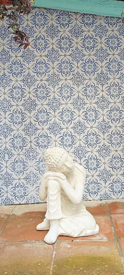 Gîte pour 4 personnes, avec vue ainsi que terrasse et piscine, animaux acceptés à Arcos de la Frontera - 4