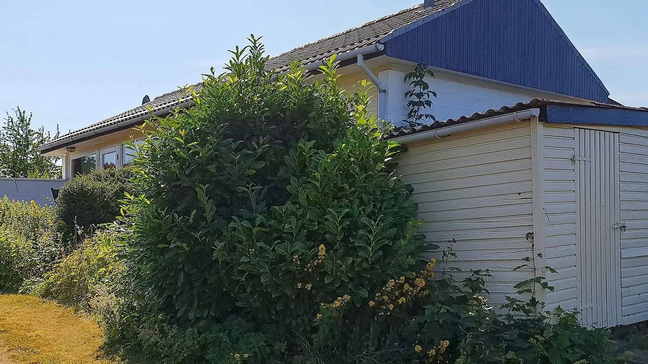 Ferienhaus für 4 Personen (50 m²) in Augustenborg in Nørre Kettingskov, Kettingskov