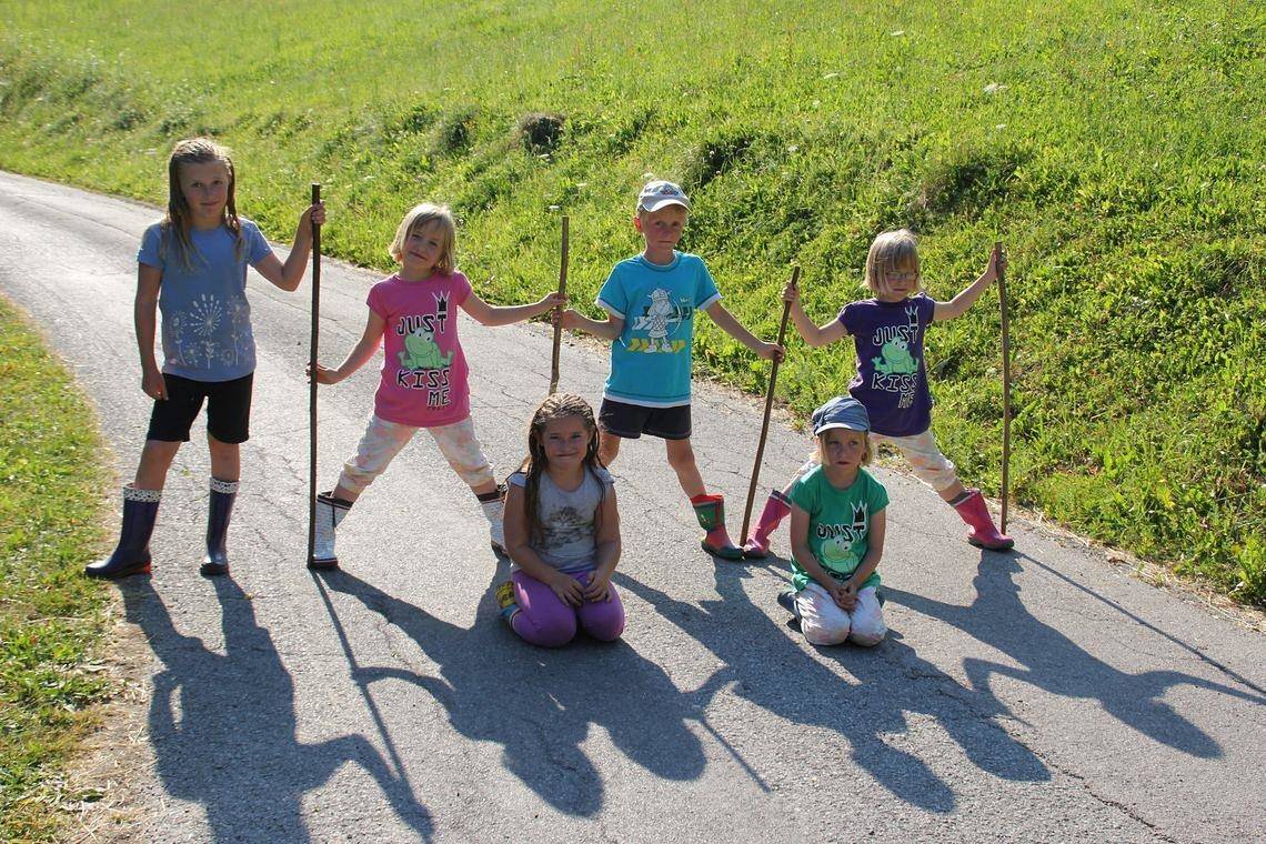 Ferienwohnung Hofblick in Arriach, Villach-Land