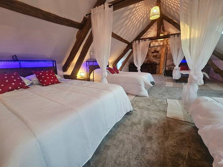 Villa pour 30 personnes, avec Jardin en Bourgogne - 2