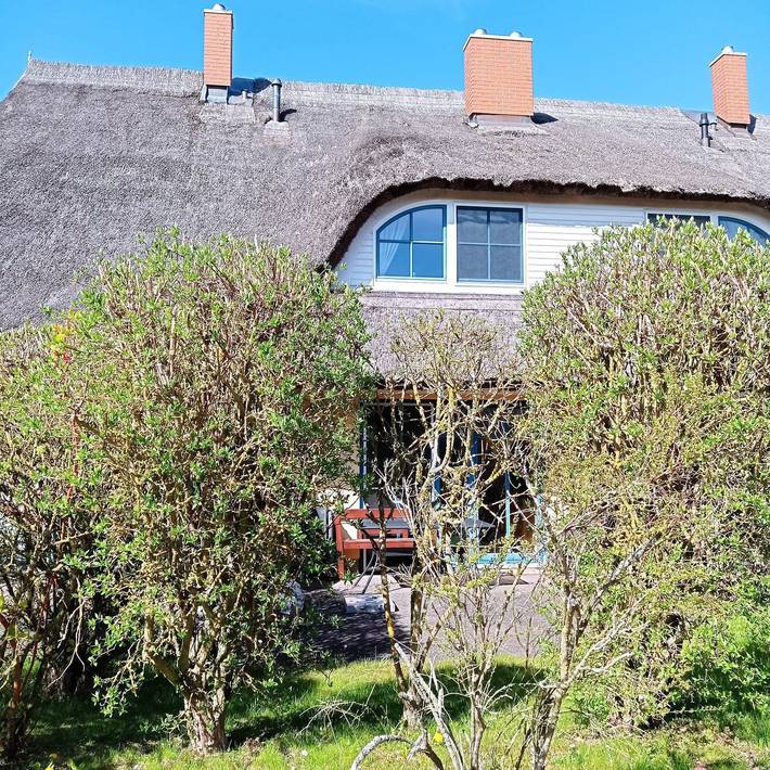 Ferienhaus für 6 Personen, mit Terrasse und Ausblick in Poseritz - 3