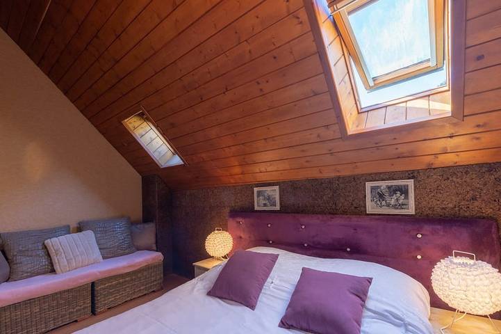 Location de vacances pour 15 personnes, avec terrasse et jardin, animaux acceptés à Guchen - 4