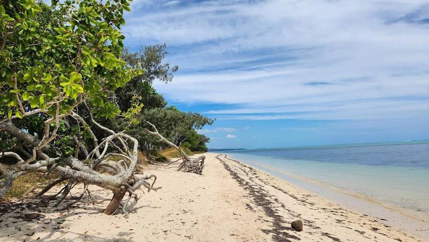Gîte pour 3 personnes, avec vue ainsi que terrasse et jardin En Nouvelle-Calédonie - 4