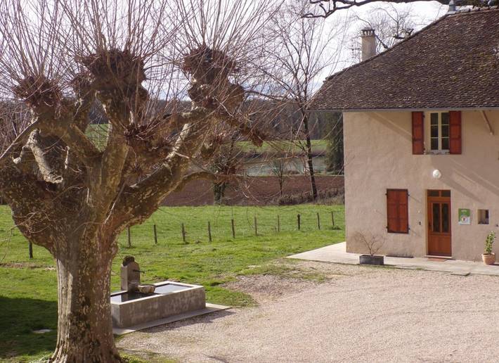 Gîte pour 4 personnes, avec terrasse et jardin, animaux acceptés dans l' Ain - 4