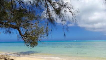 Chambre d’hôte pour 3 personnes, avec vue et terrasse ainsi que piscine et jardin dans Polynésie française