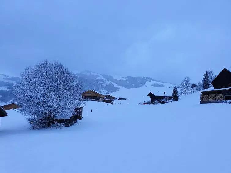 Chalet voor 6 Personen in Gstaad, Saanen