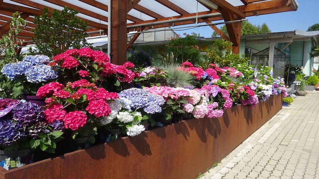 Ferienhaus für 3 Personen (50 m²) in Andechs in Andechs, Lago Ammer