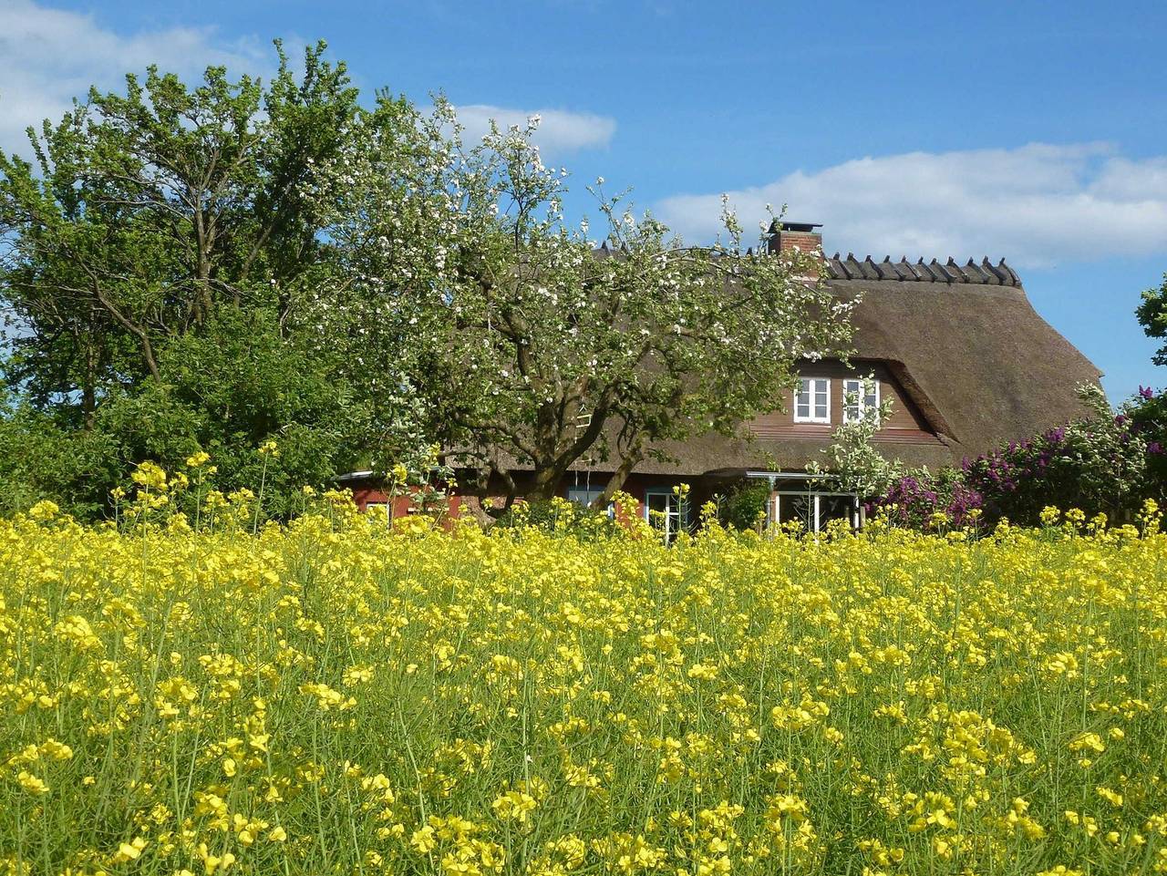 Ganze Ferienwohnung, Ferienwohnung Goldhöft 5 in Geltinger Birk, Gelting