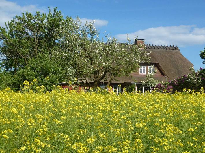 Ferienwohnung für 2 Personen, mit Terrasse und Garten sowie Ausblick in Gelting - 4